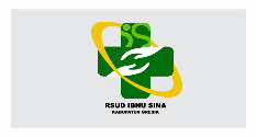 rsud ibnu sina